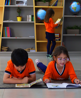 Processo de alfabetização no Ensino Fundamental I da Escola Magnus Domini